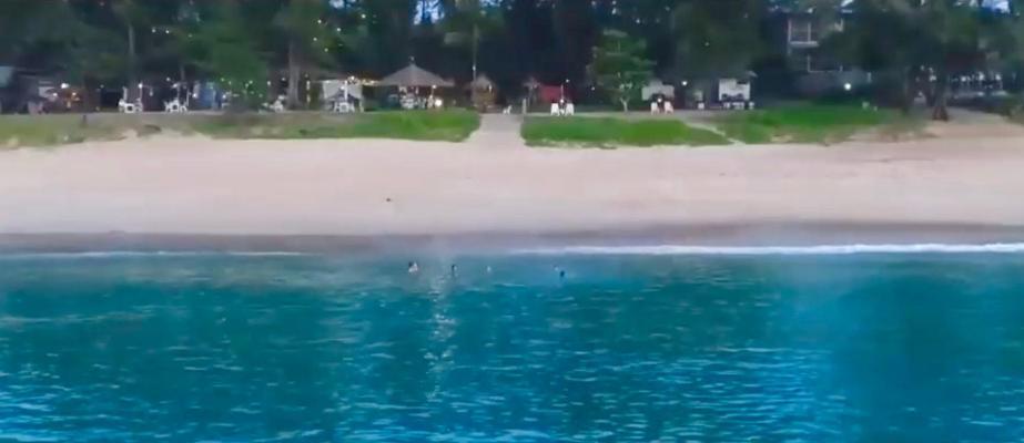 Micky Monkey Beach Hotel Phuket Maikhao Thailand Mai Khao Eksteriør billede